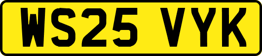 WS25VYK