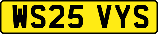 WS25VYS