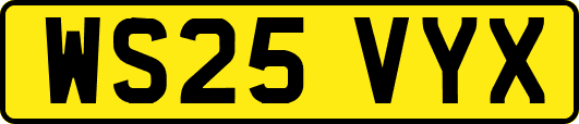 WS25VYX