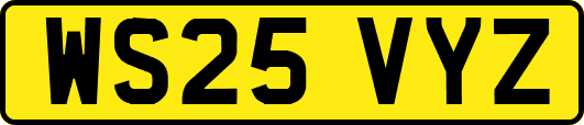 WS25VYZ