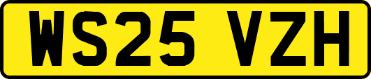 WS25VZH