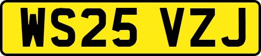 WS25VZJ