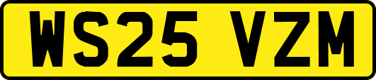 WS25VZM