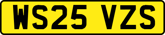 WS25VZS