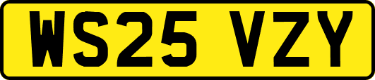 WS25VZY