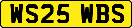WS25WBS