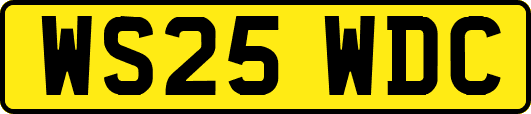 WS25WDC