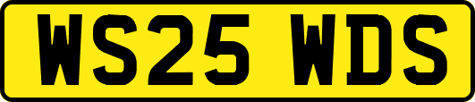 WS25WDS
