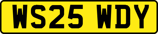 WS25WDY