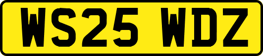 WS25WDZ