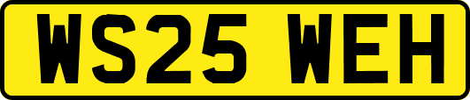 WS25WEH
