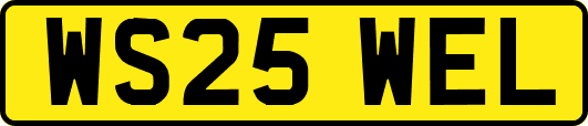 WS25WEL