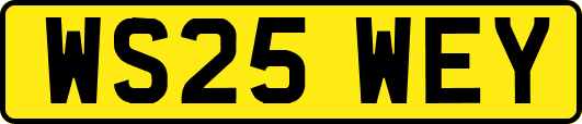 WS25WEY