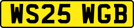 WS25WGB