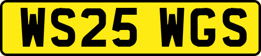 WS25WGS