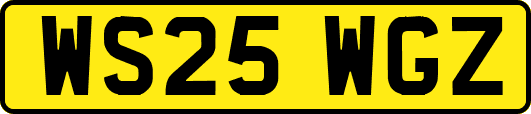 WS25WGZ