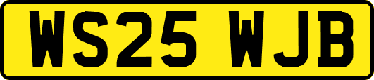 WS25WJB
