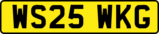 WS25WKG