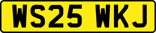 WS25WKJ