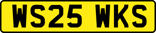 WS25WKS