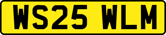 WS25WLM