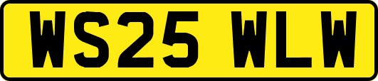 WS25WLW