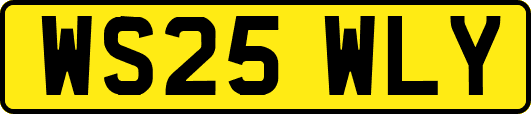 WS25WLY