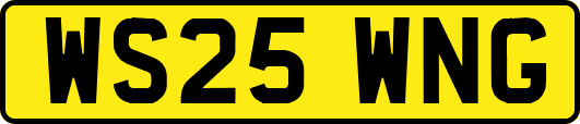 WS25WNG