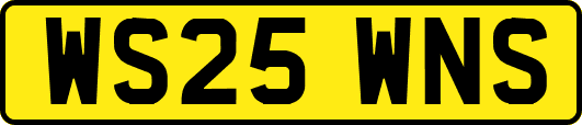WS25WNS