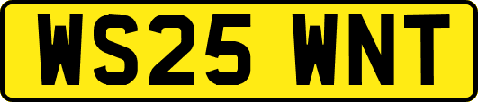 WS25WNT