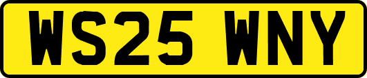 WS25WNY