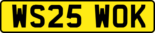 WS25WOK