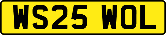 WS25WOL