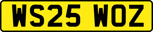 WS25WOZ
