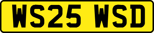 WS25WSD