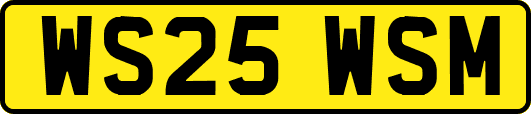 WS25WSM