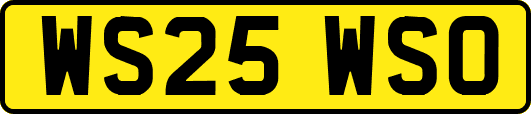WS25WSO