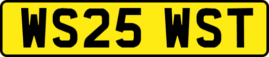 WS25WST