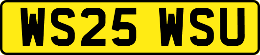 WS25WSU