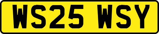 WS25WSY