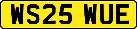 WS25WUE