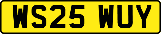 WS25WUY