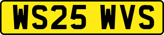 WS25WVS
