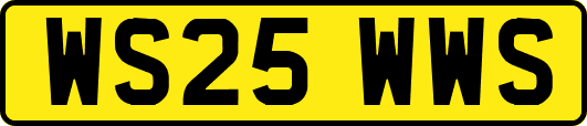 WS25WWS