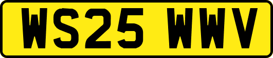 WS25WWV