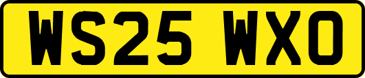 WS25WXO