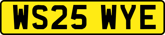 WS25WYE