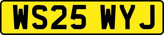 WS25WYJ