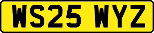 WS25WYZ