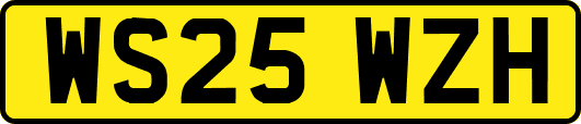 WS25WZH